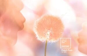 Pantone revela cor do ano para 2024